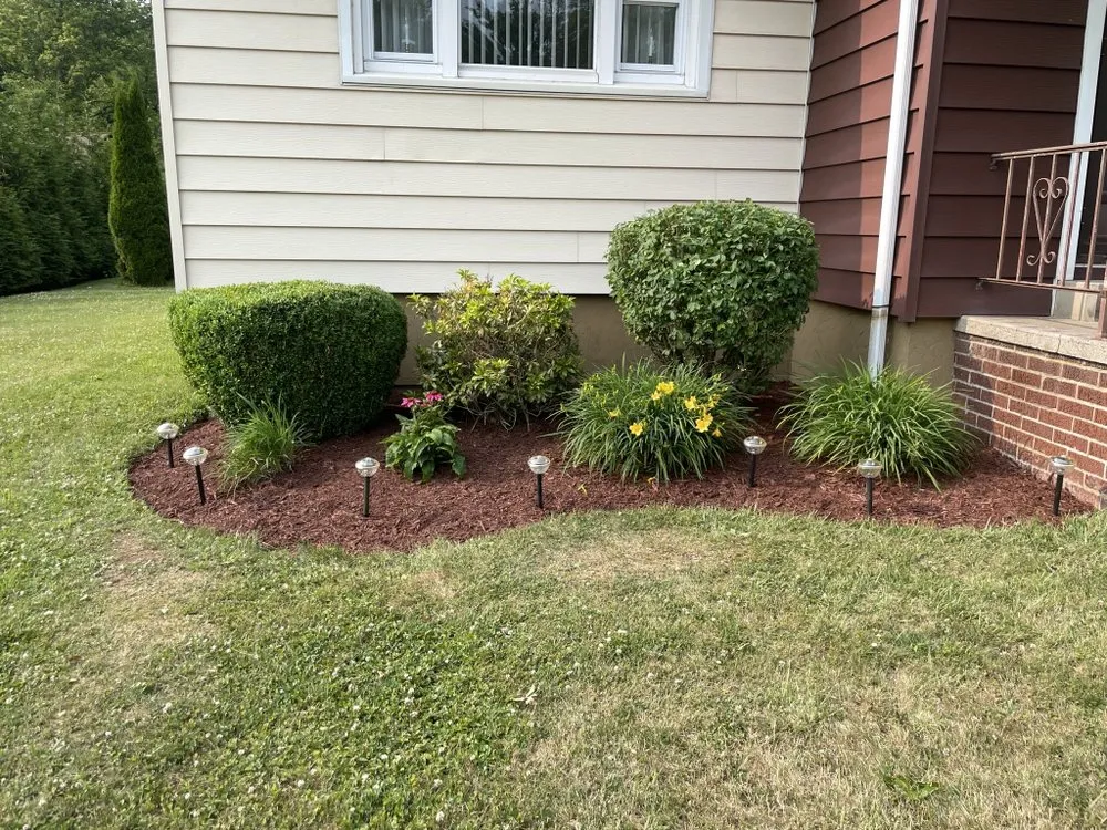 Affordable yard cleanup service in Sidman, PA by Shilcosky Lawn Care