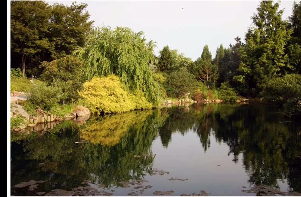 Professional residential landscaping near you across Glen Echo, MD - Shimizu Landscape Design