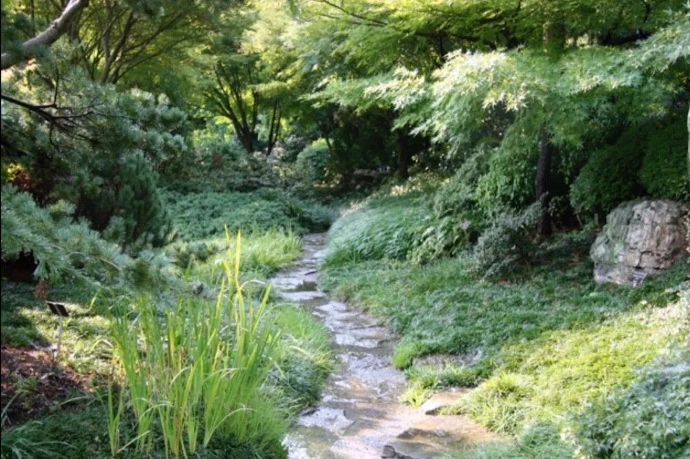 Affordable lawn care service for homes across Glen Echo, MD - Shimizu Landscape Design