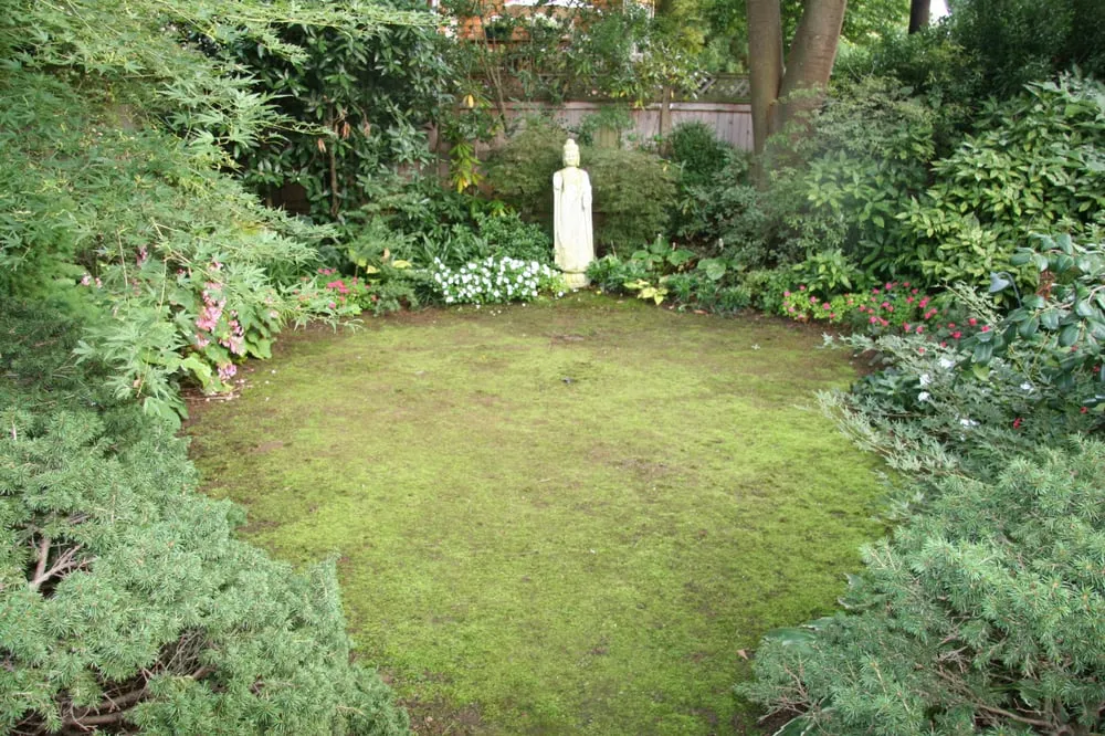 Reliable lawn mowing service in Glen Echo, MD by Shimizu Landscape Design
