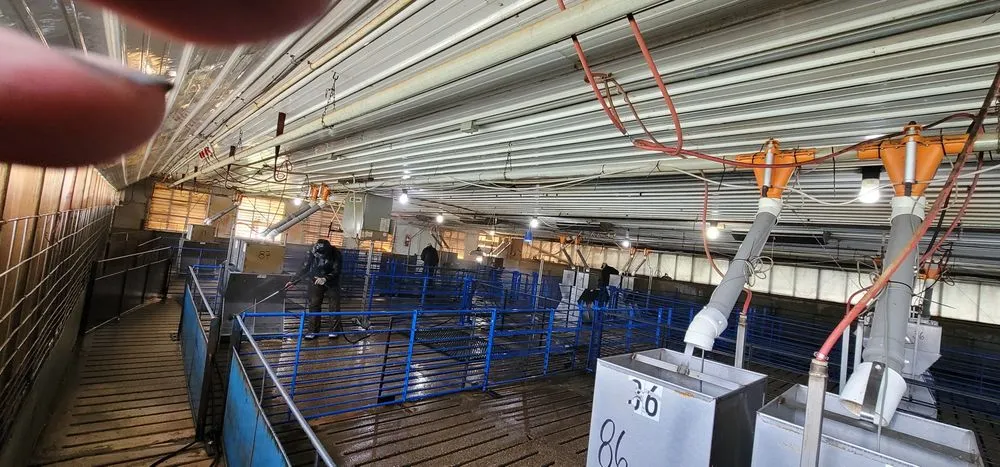 Top-rated landscaping services experts serving Mattoon, IL - Shimmering Reflections