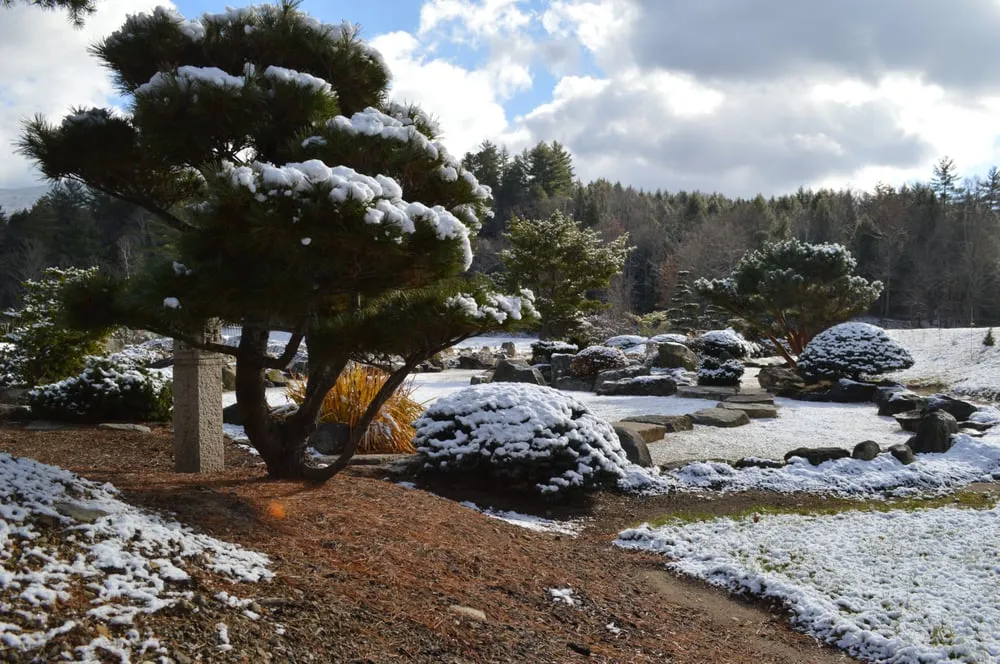 Local garden landscaping in Wentworth, NH - Shin-Boku Nursery