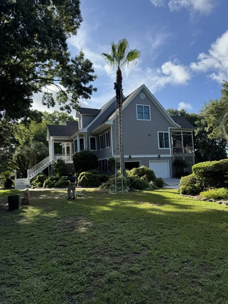 Affordable landscaping services near you in North Charleston, SC by Shine & Grow Solutions