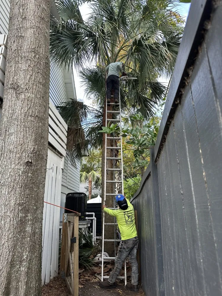 Custom lawn mowing service for beautiful yards in North Charleston, SC by Shine & Grow Solutions