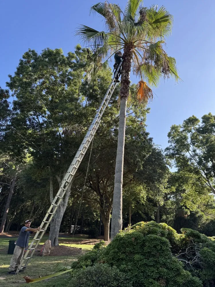 Professional yard cleanup service in North Charleston, SC - Shine & Grow Solutions