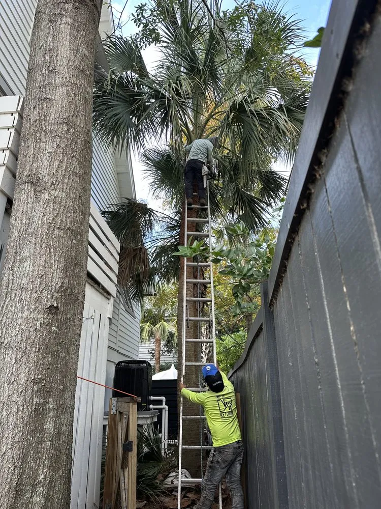 Top-rated landscape design experts serving North Charleston, SC - Shine & Grow Solutions