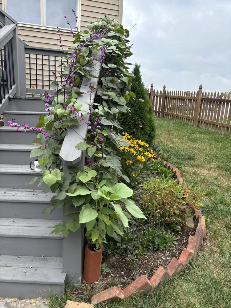 Expert lawn care service in Leavenworth, KS - Shine Bright Like A Jewell