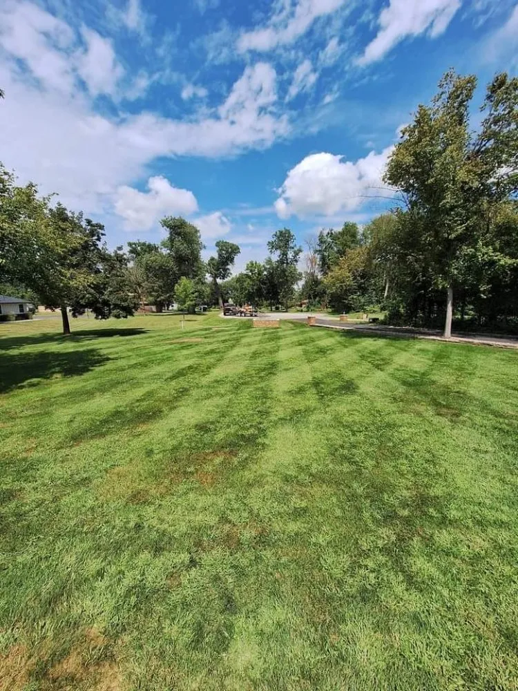 Expert yard maintenance in Peoria, IL by Shine Bright Solutions