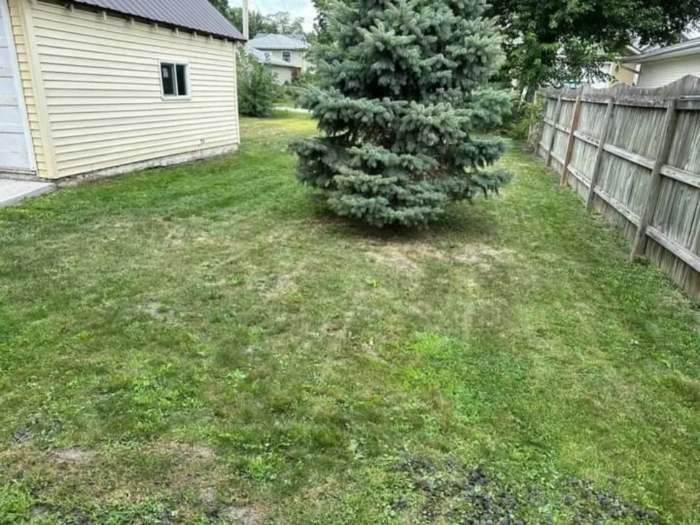 Expert yard maintenance for outdoor upgrades across Peoria, IL - Shine Bright Solutions