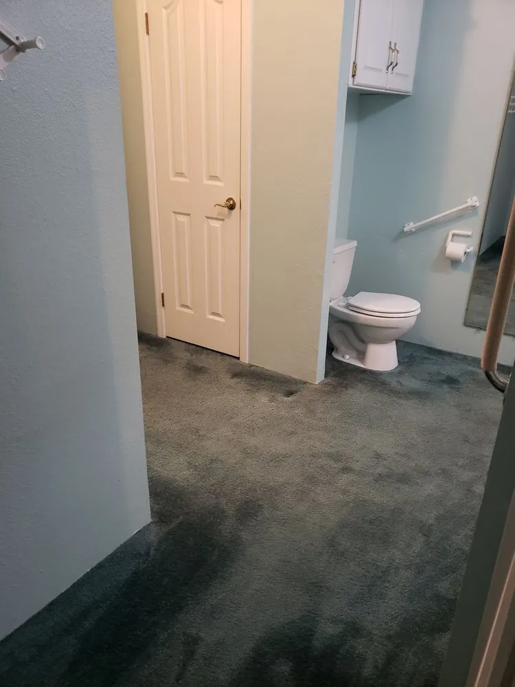 Expert landscaping services experts serving Longview, WA - Shine Brite Like A Diamond