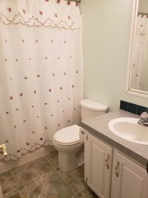 Shine Brite Like A Diamond