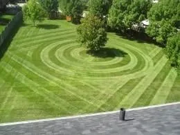Top-rated lawn mowing service in Edison, NJ - Shine Landscaping