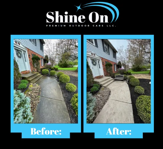 Top-rated yard cleanup service experts serving Buffalo, NY - Shine On Premium Outdoor Care