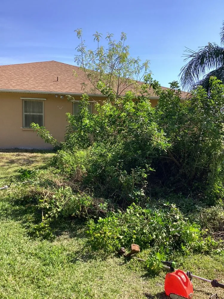 Expert landscape design in Cocoa, FL by Shine Rite