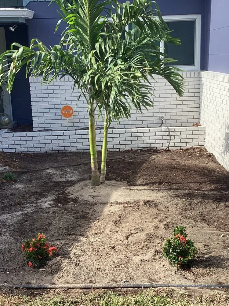 Top-rated yard maintenance in Cocoa, FL - Shine Rite