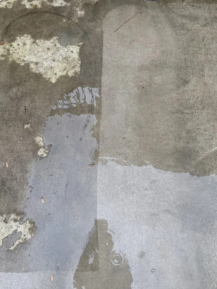 Local yard cleanup service in Irmo, SC - Shine Rite