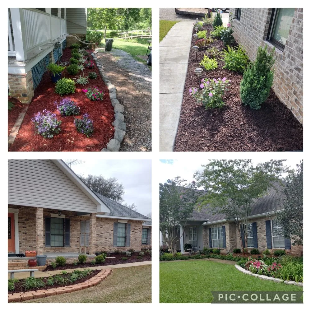 Affordable landscaping services in Picayune, MS - Shine The Light Garden And Landscaping
