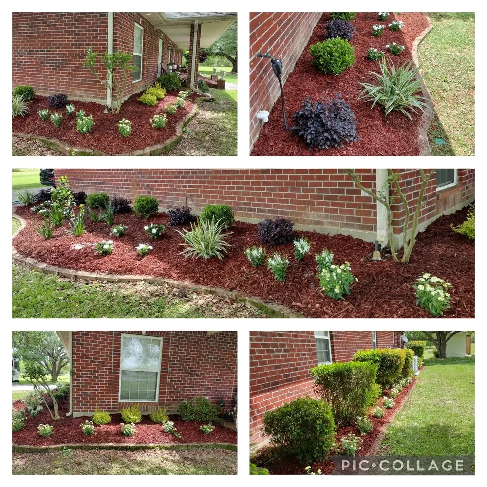 Professional lawn mowing service experts serving Picayune, MS - Shine The Light Garden And Landscaping