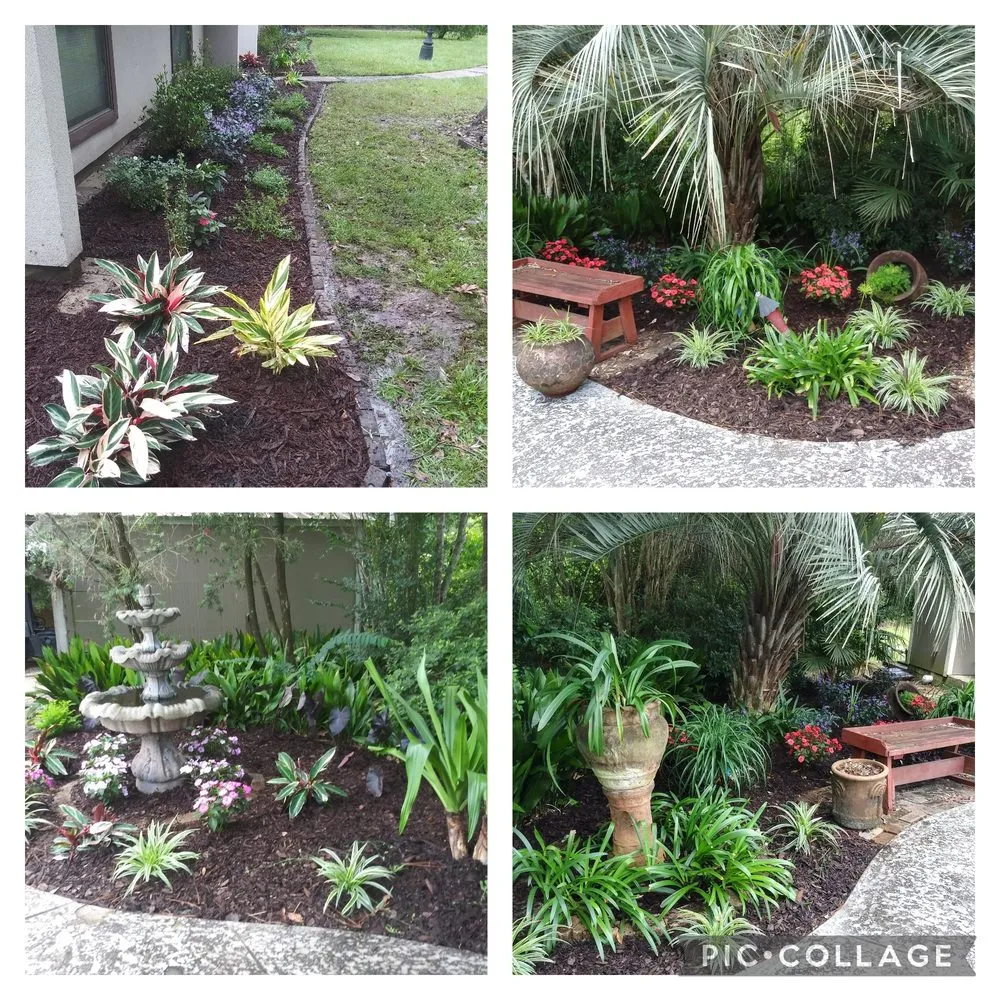 Trusted residential landscaping in Picayune, MS by Shine The Light Garden And Landscaping