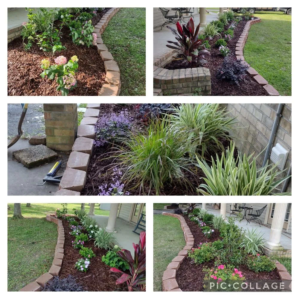 Local yard cleanup service experts serving Picayune, MS - Shine The Light Garden And Landscaping