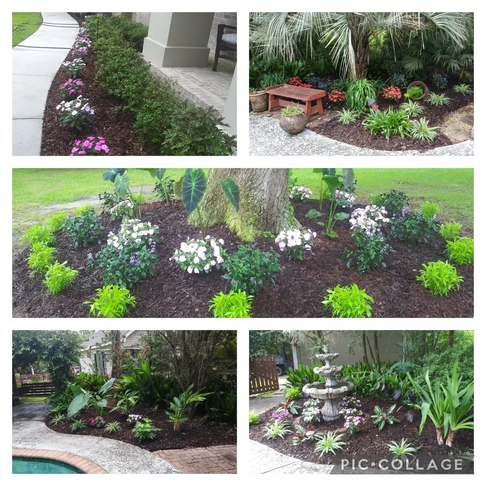 Custom yard cleanup service in Picayune, MS - Shine The Light Garden And Landscaping