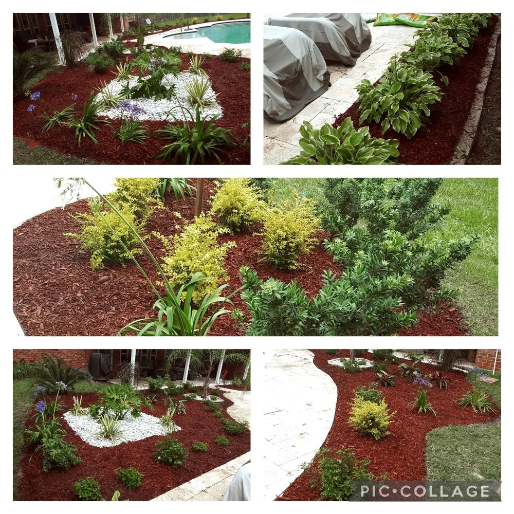 Reliable landscaping services in Picayune, MS by Shine The Light Garden And Landscaping