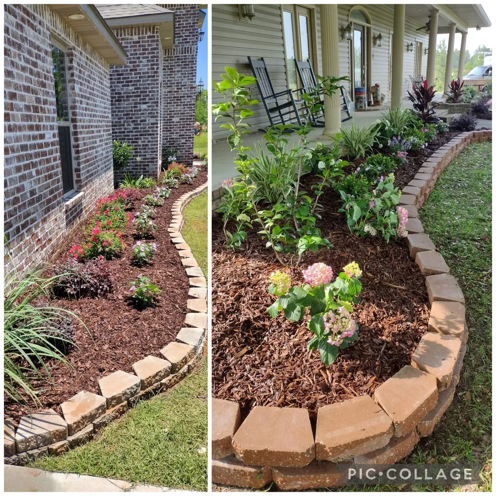 Affordable yard maintenance in Picayune, MS - Shine The Light Garden And Landscaping