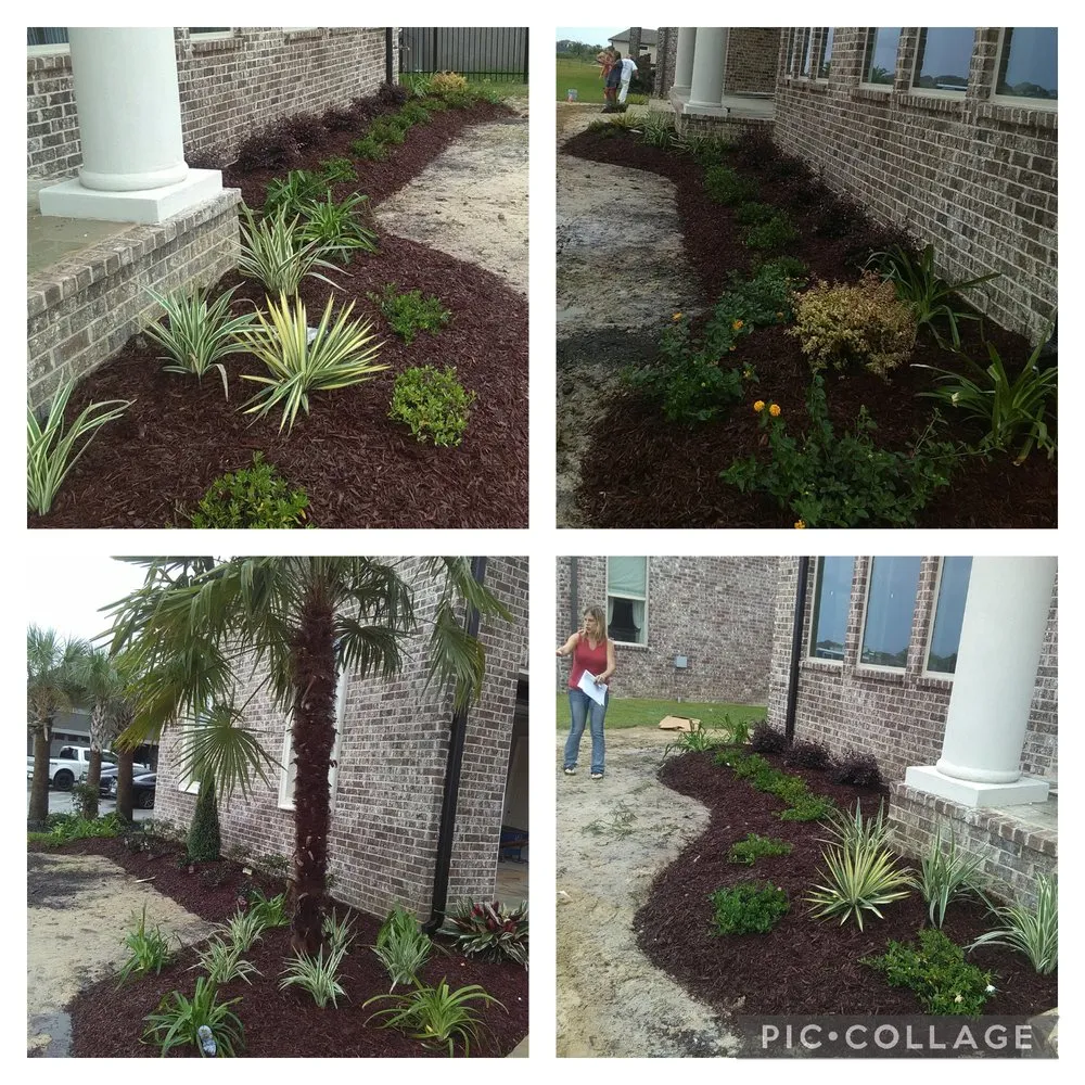 Reliable yard cleanup service in Picayune, MS - Shine The Light Garden And Landscaping
