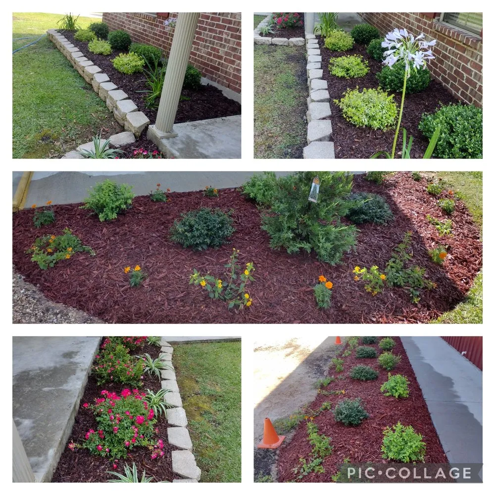 Top-rated landscape design for year-round maintenance across Picayune, MS - Shine The Light Garden And Landscaping