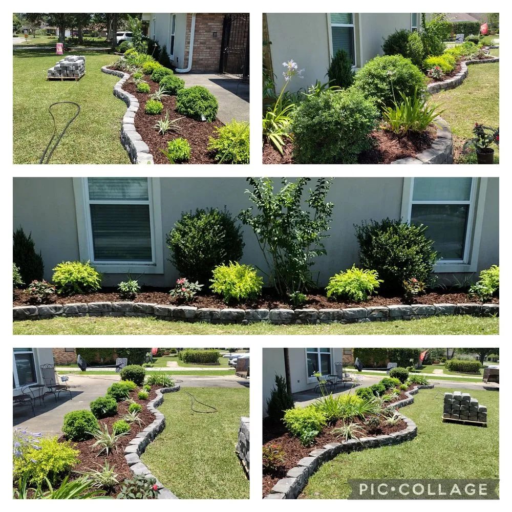 Top-rated yard cleanup service in Picayune, MS - Shine The Light Garden And Landscaping