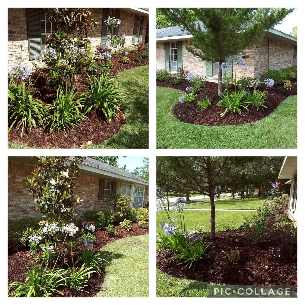 Reliable yard cleanup service for residential properties in Picayune, MS by Shine The Light Garden And Landscaping