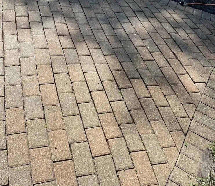 Professional landscape installation for beautiful yards across Park Ridge, IL - ShinePro Outdoor Care