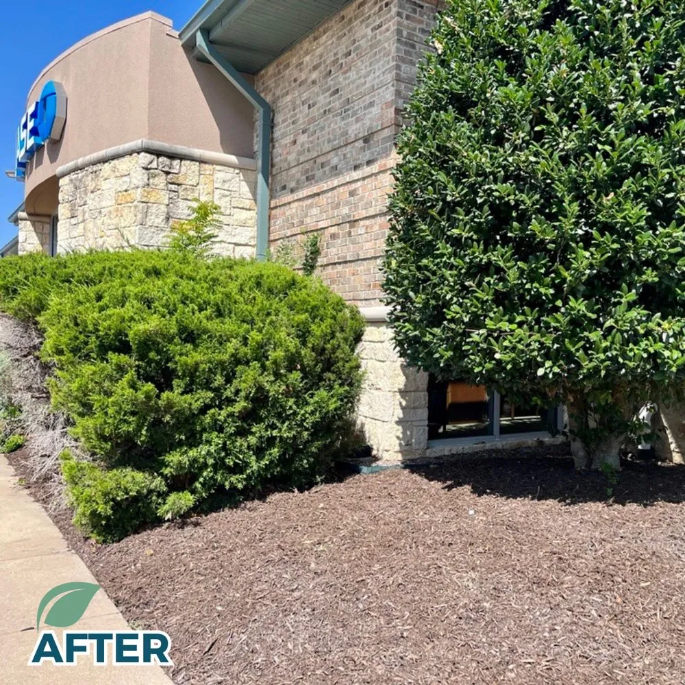 Affordable yard maintenance in Carrollton, TX by SHINEscapes