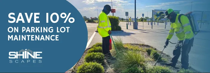 Professional landscape design for year-round maintenance across Carrollton, TX - SHINEscapes