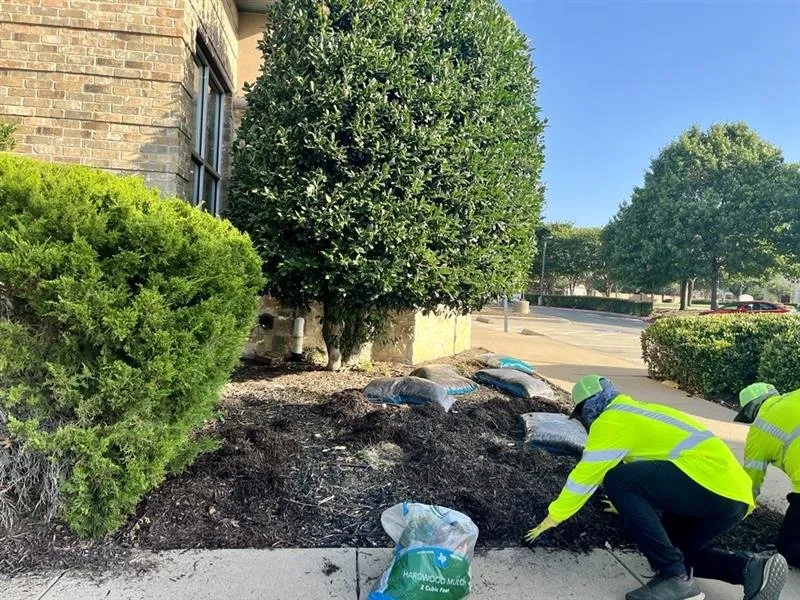 Trusted outdoor landscaping for year-round maintenance across Carrollton, TX - SHINEscapes