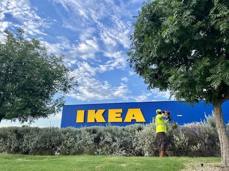 Custom garden landscaping in Carrollton, TX by SHINEscapes