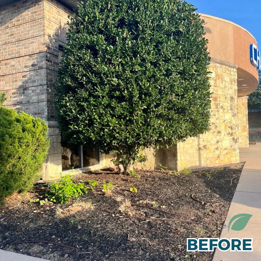 Professional lawn mowing service near you in Carrollton, TX by SHINEscapes