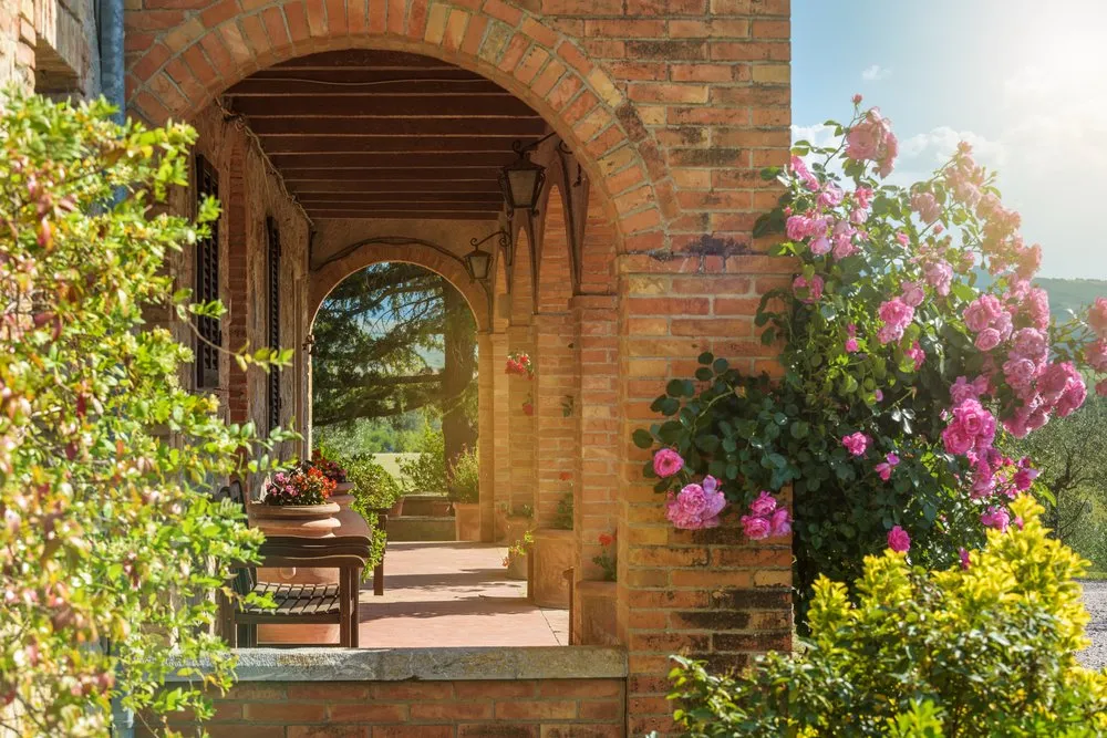 Professional yard cleanup service for homes in Tustin, CA by Shining Gardens