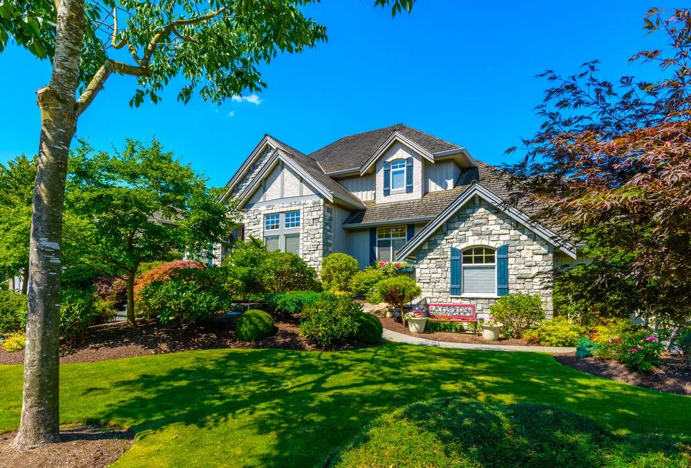 Trusted yard cleanup service in Tustin, CA by Shining Gardens