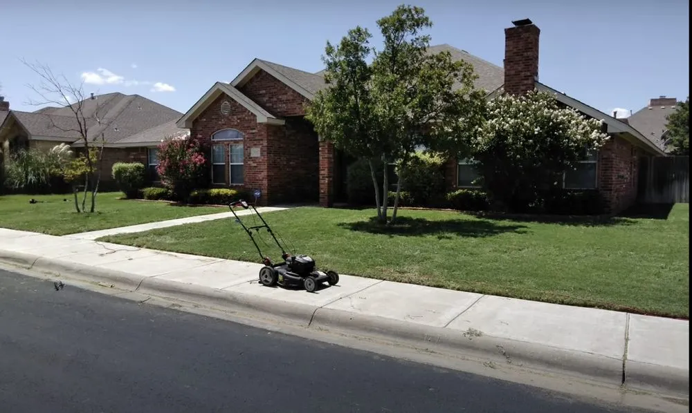 Local yard cleanup service in Alexandria, VA - Shining Star Services