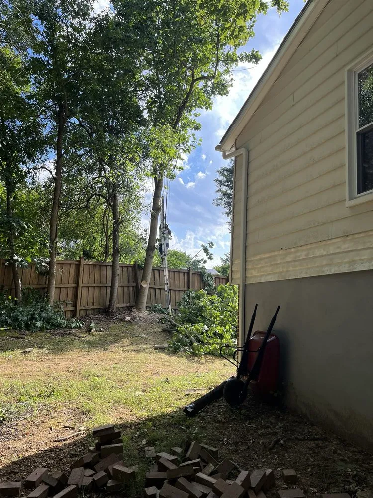 Professional garden landscaping in Alexandria, VA by Shining Star Services