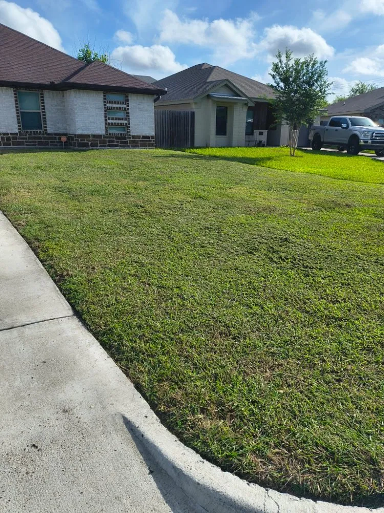 Trusted garden landscaping in Santa Rosa, TX - Shino Lawns
