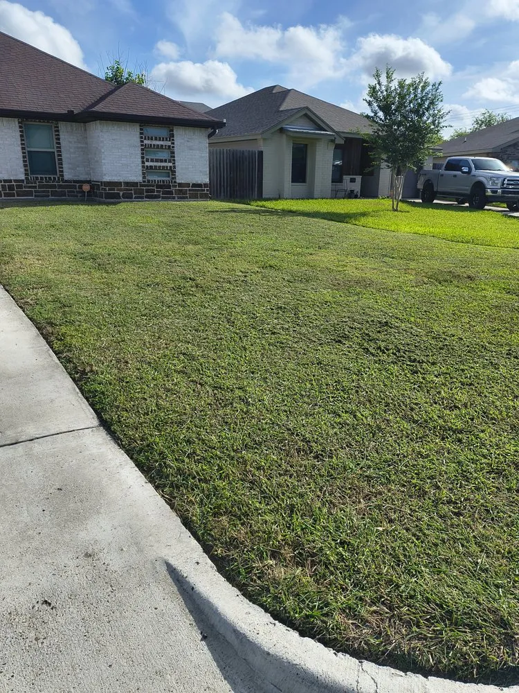 Expert lawn care service in Santa Rosa, TX by Shino Lawns