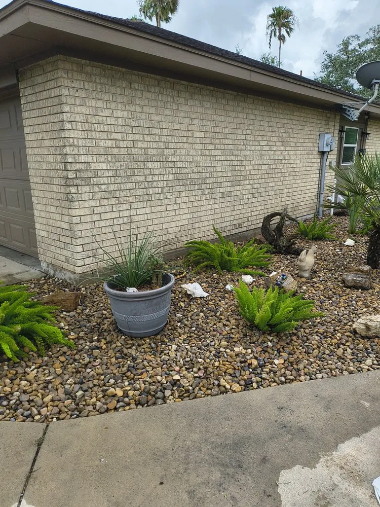Affordable landscaping services for residential properties in Santa Rosa, TX by Shino Lawns