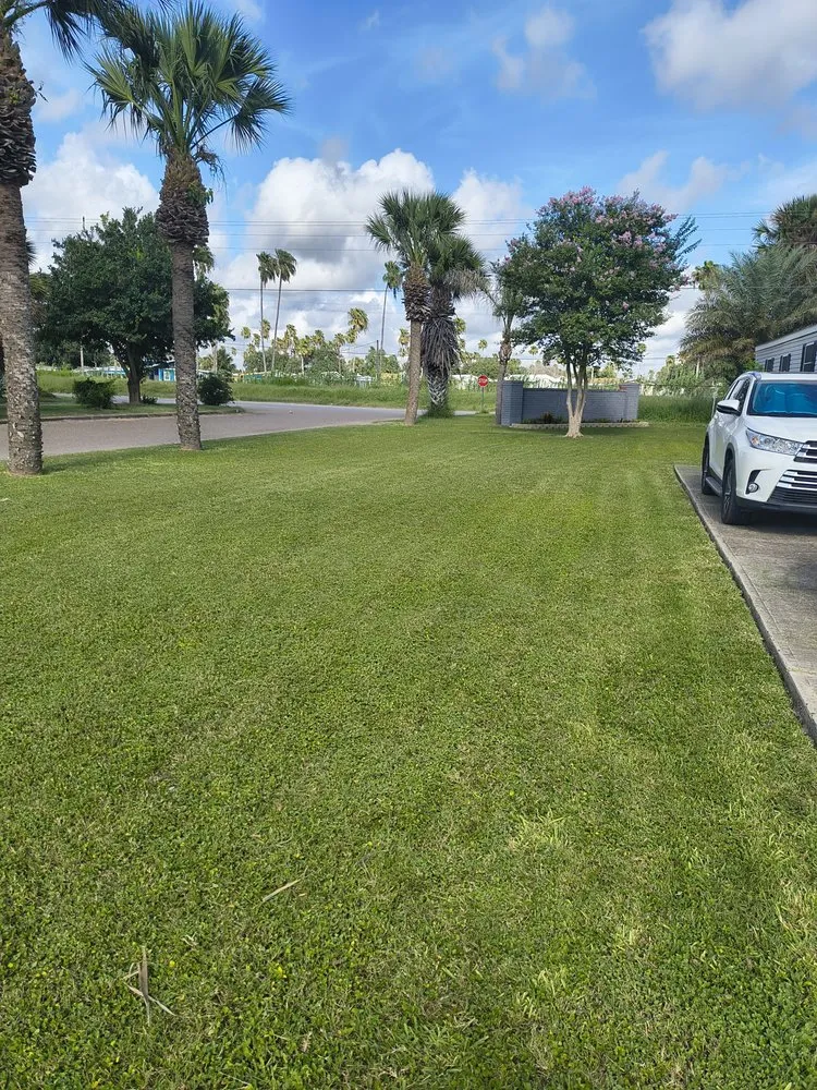 Top-rated garden landscaping in Santa Rosa, TX - Shino Lawns