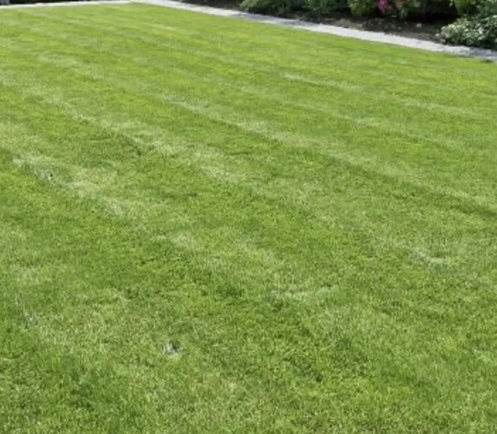 Reliable yard maintenance for beautiful yards in Franklin, WI by Shiny Post Service