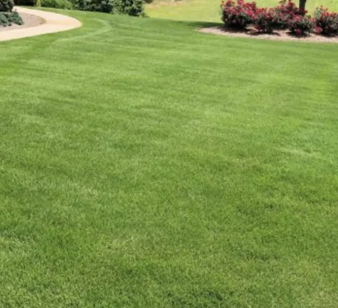 Affordable yard maintenance for residential properties across Franklin, WI - Shiny Post Service