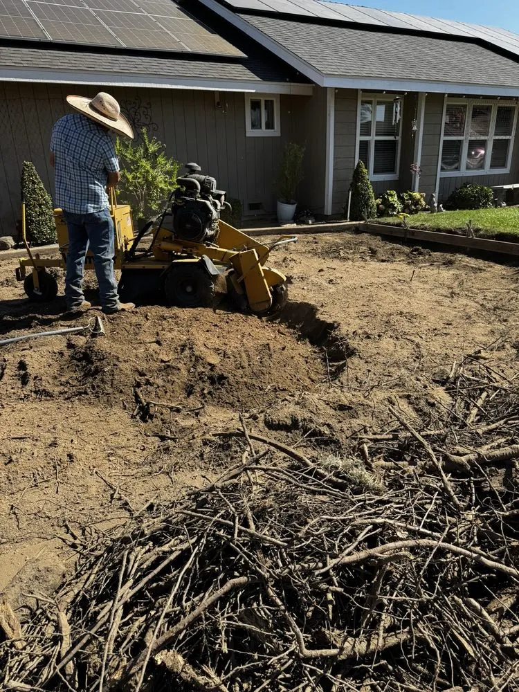 Custom residential landscaping for homes across Visalia, CA - Shipman Tree Service