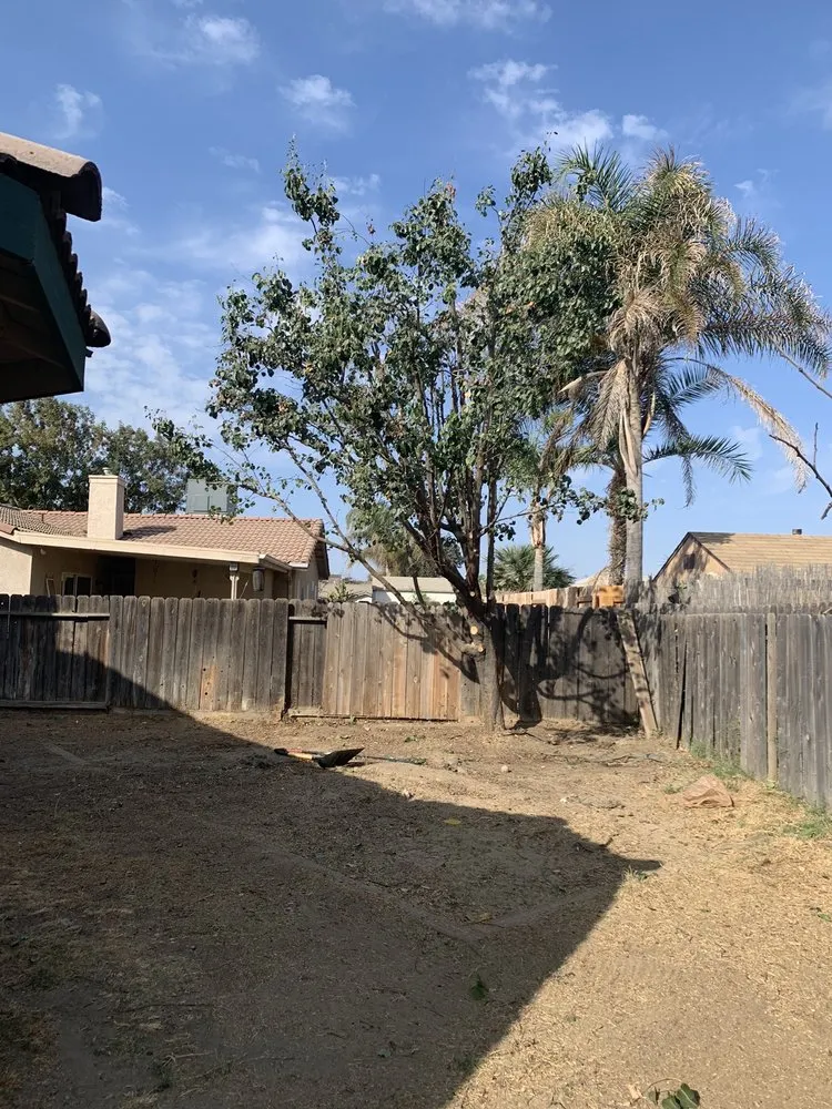 Reliable residential landscaping for outdoor upgrades across Visalia, CA - Shipman Tree Service