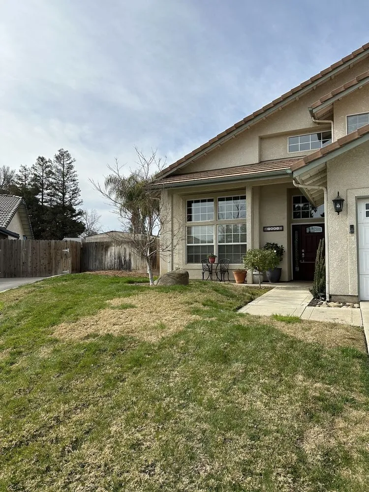 Custom yard cleanup service in Visalia, CA by Shipman Tree Service